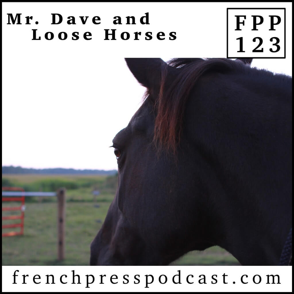 Mr. Dave and Loose Horses