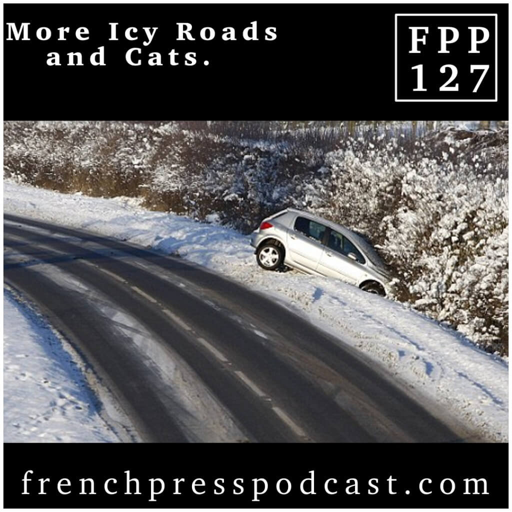 More Icy Roads and Cats